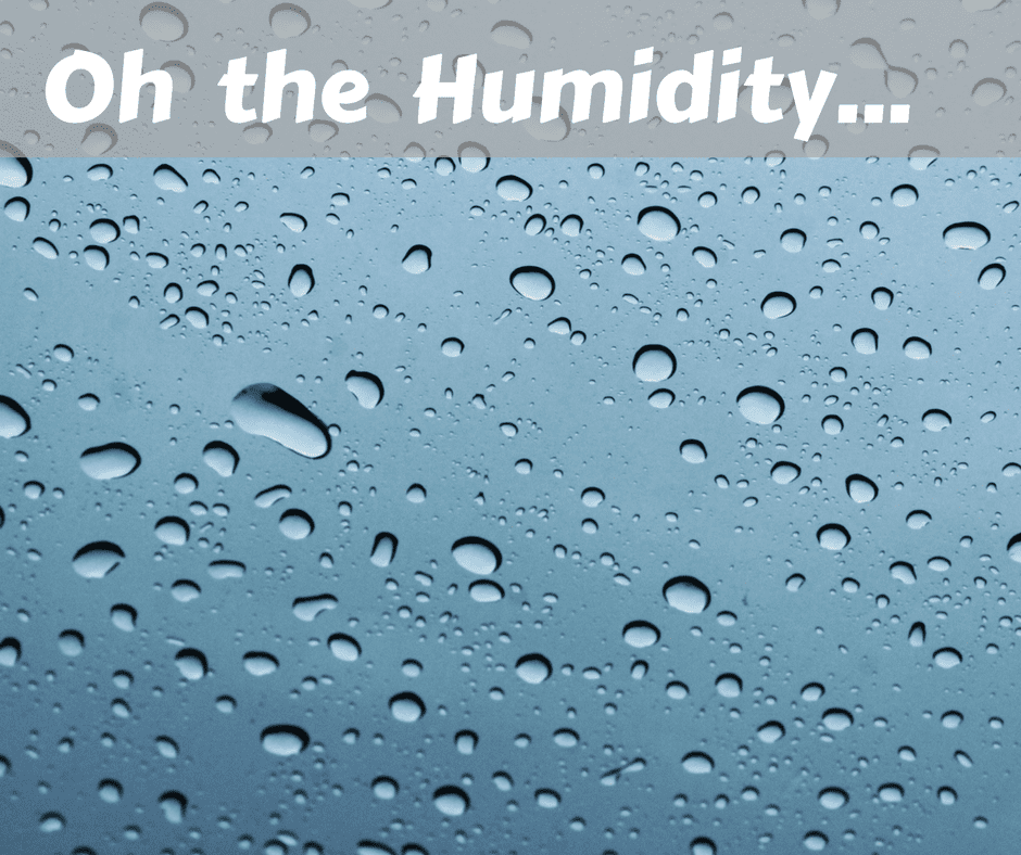 humidity dehumidifier Upper Hutt Hire rent borrow wet moisture