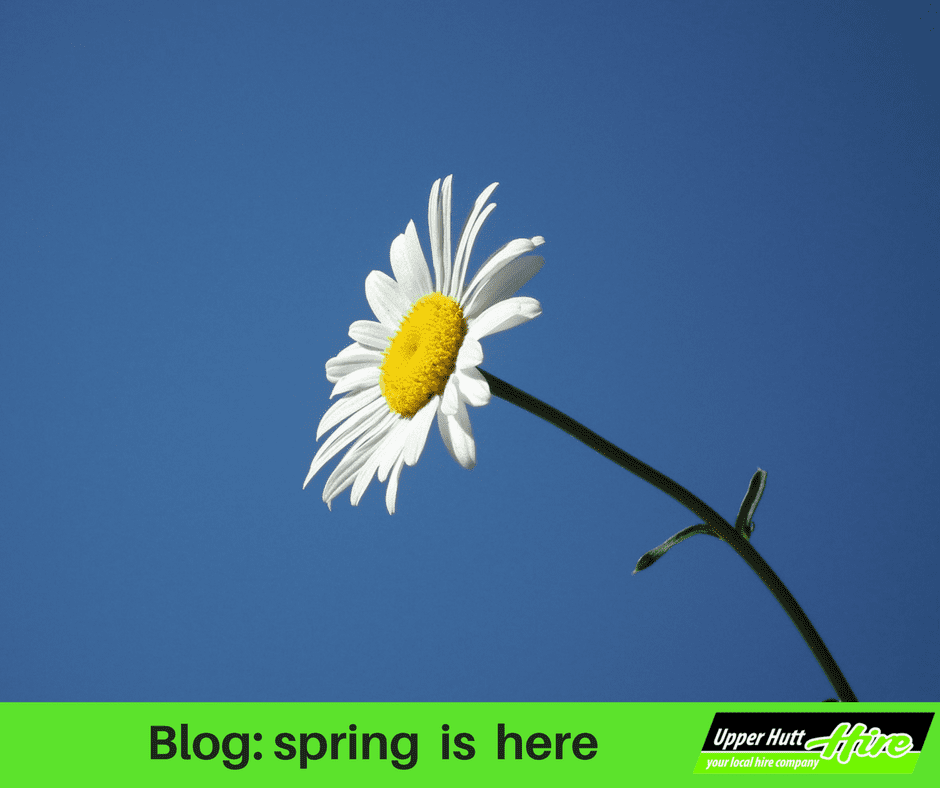 spring gardening lawn grass upper Hutt Hire scarifier